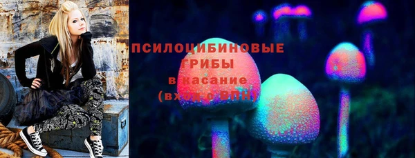 стафф Алзамай