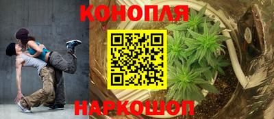 гидропоника Жуковский