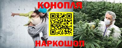 гидропоника Жуковский
