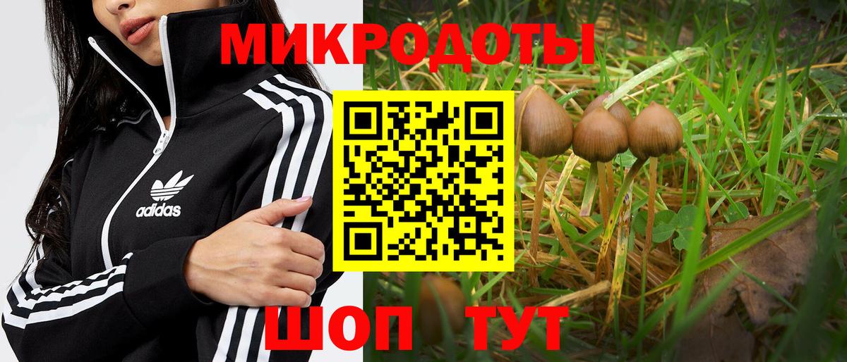 Ливны  Псилоцибиновые грибы ЛСД  Вход с VPN 